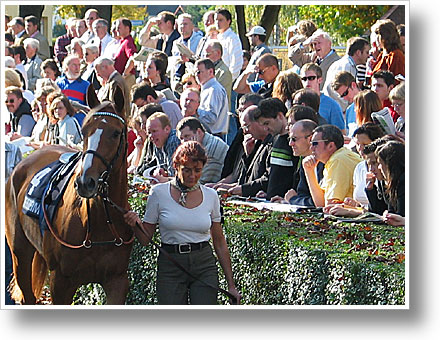 Am F�hrring in Baden-Baden