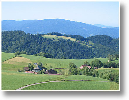 Schwarzwaldpanorama
