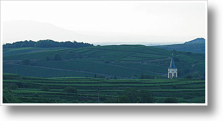 Sonnenuntergang am Kaiserstuhl mit Blick ins Elsass
