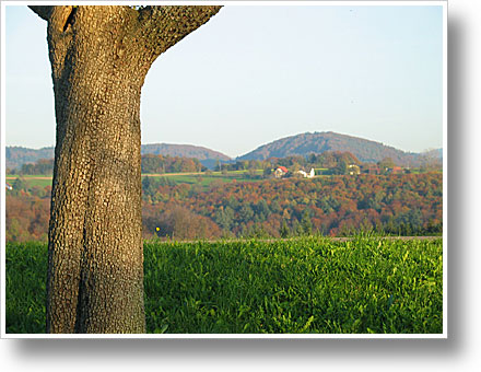 Herbstfarben in Freiamt