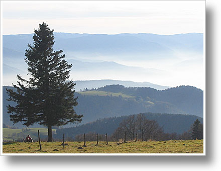 Blick Richtung St. Peter und Feldberg Blick Richtung St. Peter und Feldberg