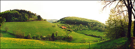 Frühling in Freiamt