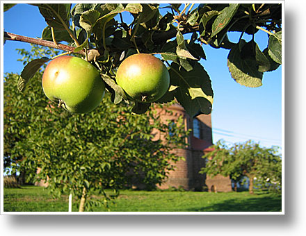 Apfel-Zeit
