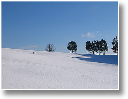 Sonne und Schnee