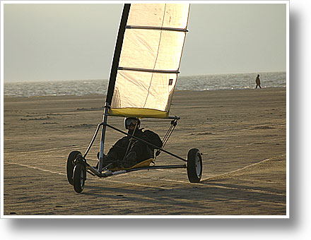 Photofriday: Movement