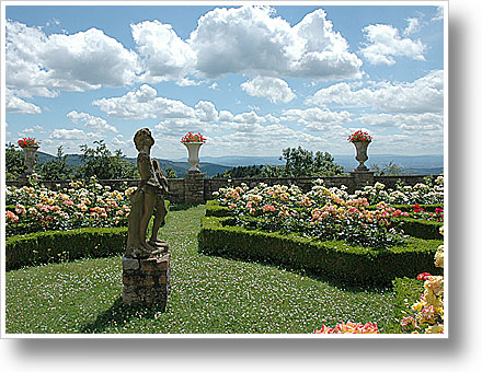 Photofriday: Garden Photofriday: Garden