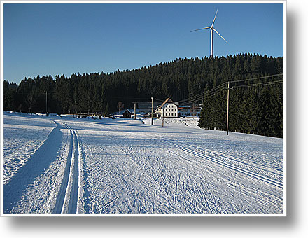 Schonach