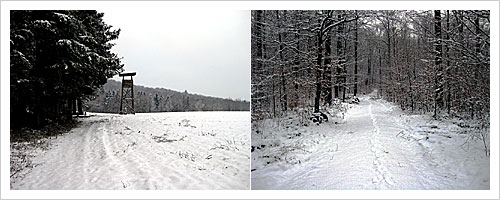 Schnee Schnee