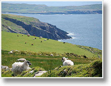 Irland 2009