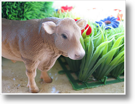 Frühling - ein Vorbote