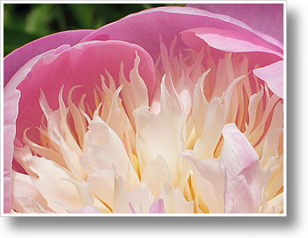 Photofriday: Complexity