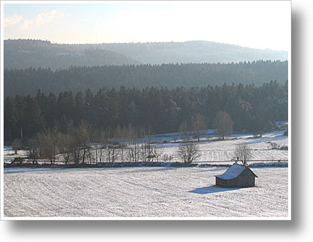 Schnee im Schwarzwald