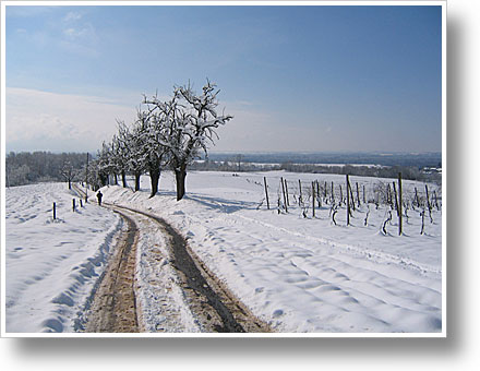 Emmendingen Wöpplinsberg Emmendingen Wöpplinsberg