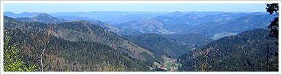 Schwarzwald-Höhen bei Schonach mit dem MTB