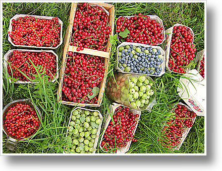 Kleiner Ernte-Einsatz