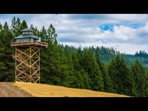Living In A Fire Lookout: Tiny Home Tour | Zillow