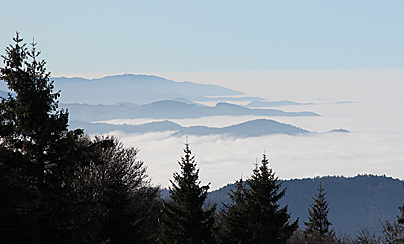 Nebel im Rheintal - Blick vom Kandel