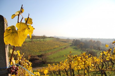 Herbst-Impressionen