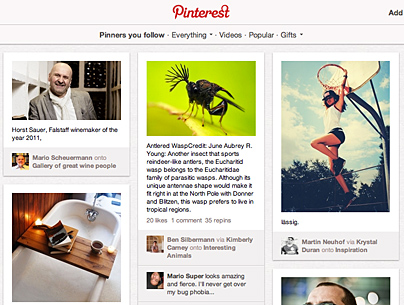 Screenshot der Pinterest-Seite