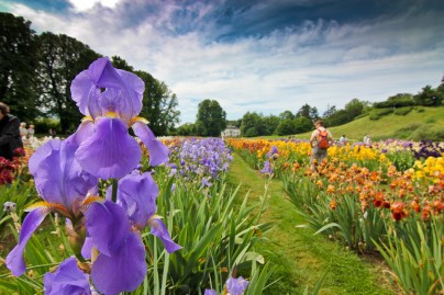 Der Merianpark in Basel