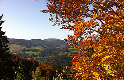 Herbstfarben im Südschwarzwald
