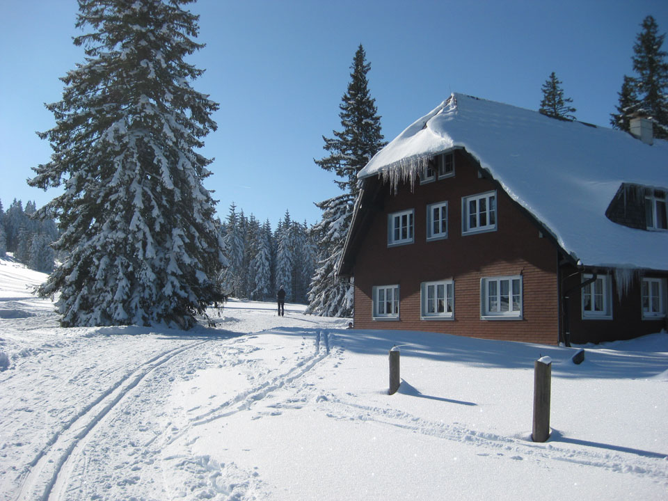 Schnee Im Schwarzwald Heute Bilder