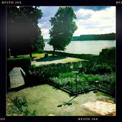 Rheingau