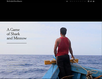 Hochgelobtes Multimedia der NYT: A Game of Shark and Minnow