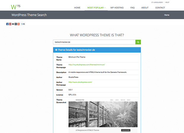 Welches WordPress-Thema, welche Plugins?