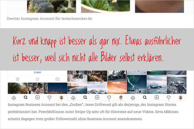 Bildtexte können auch knapp sein, sollten aber die wichtigsten Infos und evt. auch wichtige Suchbegriffe enthalten.