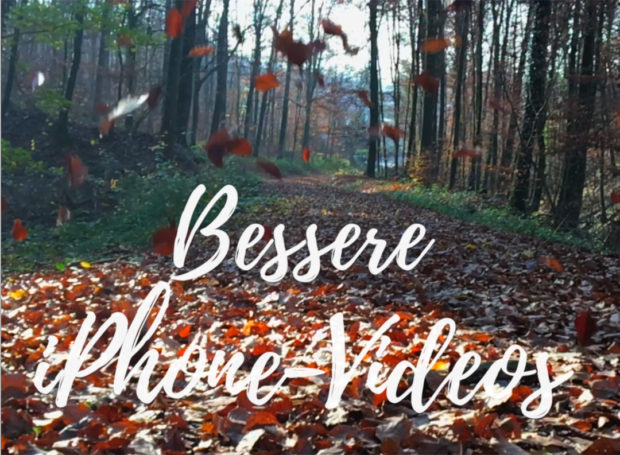Instagram Videos erfreuen sich auch weiterhin großer Beliebtheit, der Hype flacht allerdings ab.