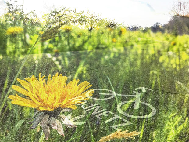 Doppelbelichtungen auf dem iPhone mit Snapseed: der meiste Spass, die schnellsten Ergebnisse.
