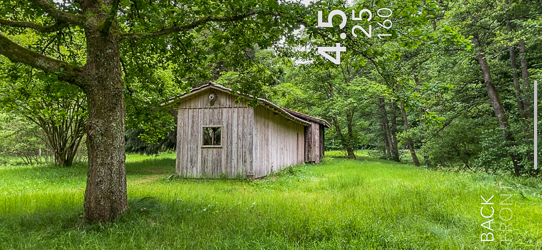Für Filmfotografie hat die ISO-Vorgabe Priorität. Dank 1/3-Abstufung geht auch ISO 160.