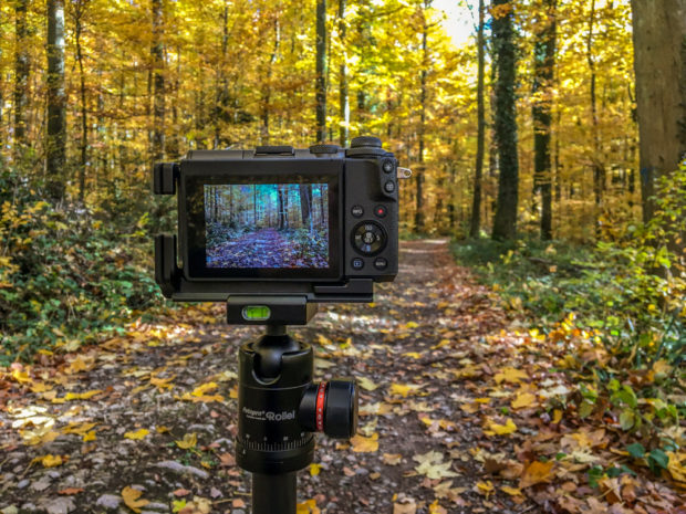 Ohne Stativ wirds schon im Wald schwierig mit den Lichtverhältnissen.