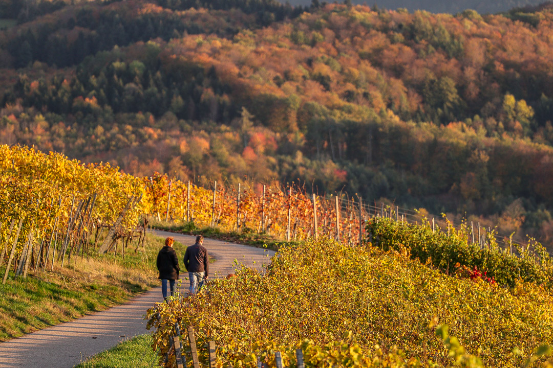 Kleine Ausschnitte zeigen das Wesentliche in Landschaftsansichten.