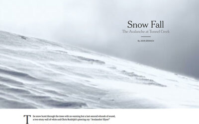 Das WordPress-Plugin Storyform hübscht WordPress-Artikel auf