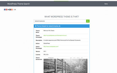Welches WordPress-Thema, welche Plugins?