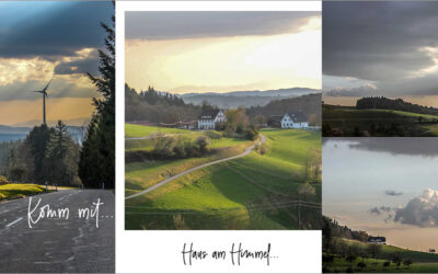 Instagram Carousels und Guides: Mehr als ein Foto