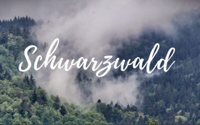Schwarzwald (moody video)