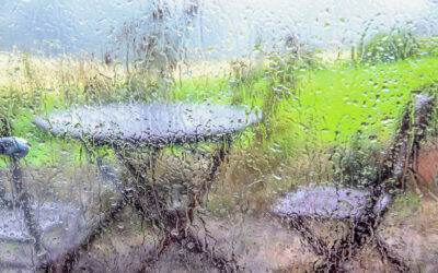 Fotografieren bei schlechtem Wetter